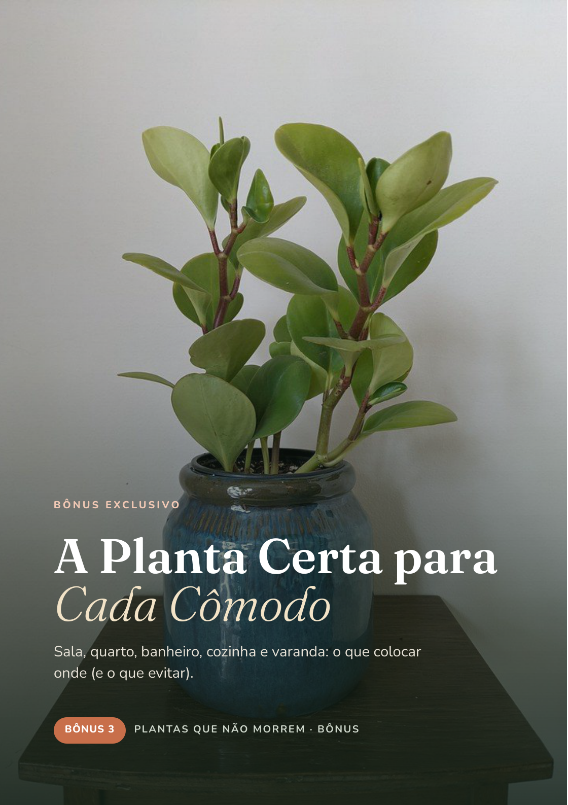 Capa do bônus A Planta Certa para Cada Cômodo