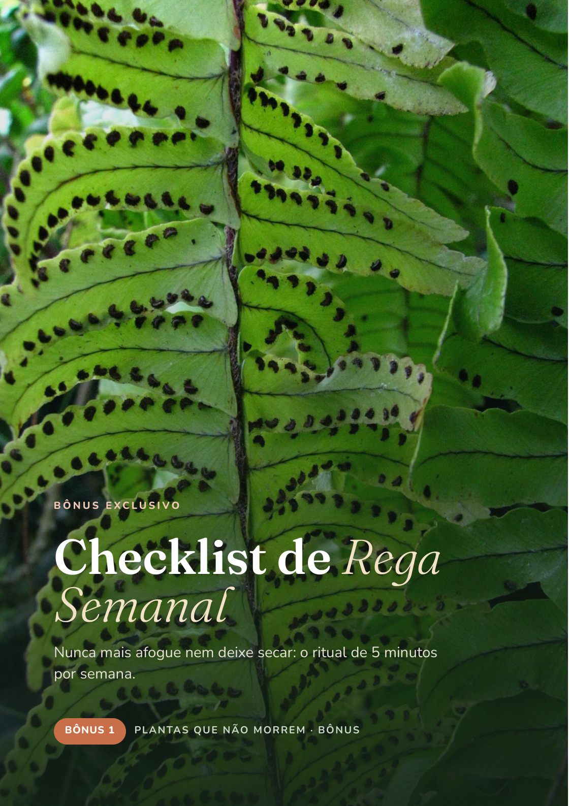 Capa do bônus Checklist de Rega Semanal