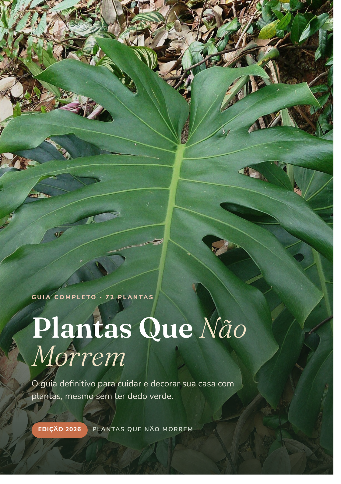 Capa do guia Plantas Que Não Morrem