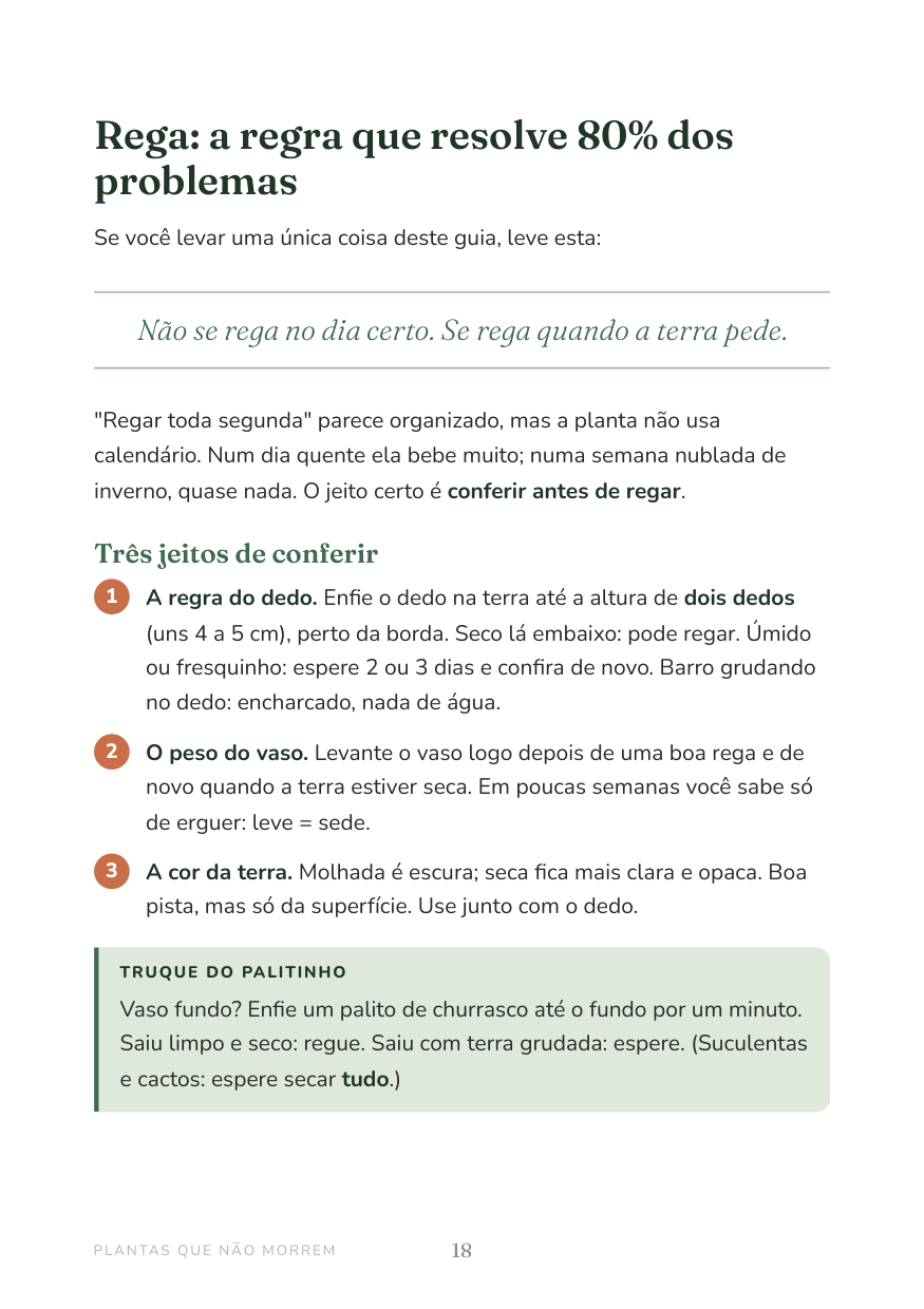 Prévia: a regra da rega