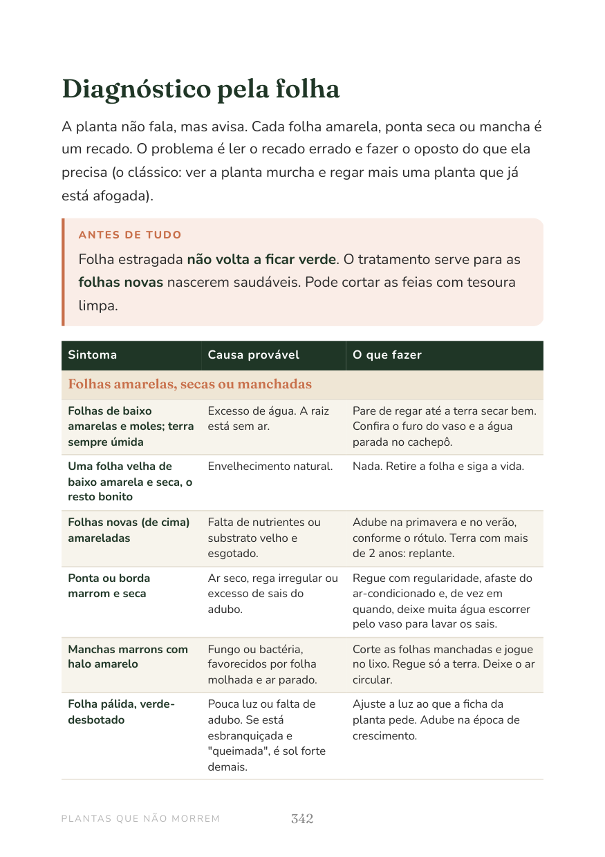 Prévia: decoração cômodo a cômodo